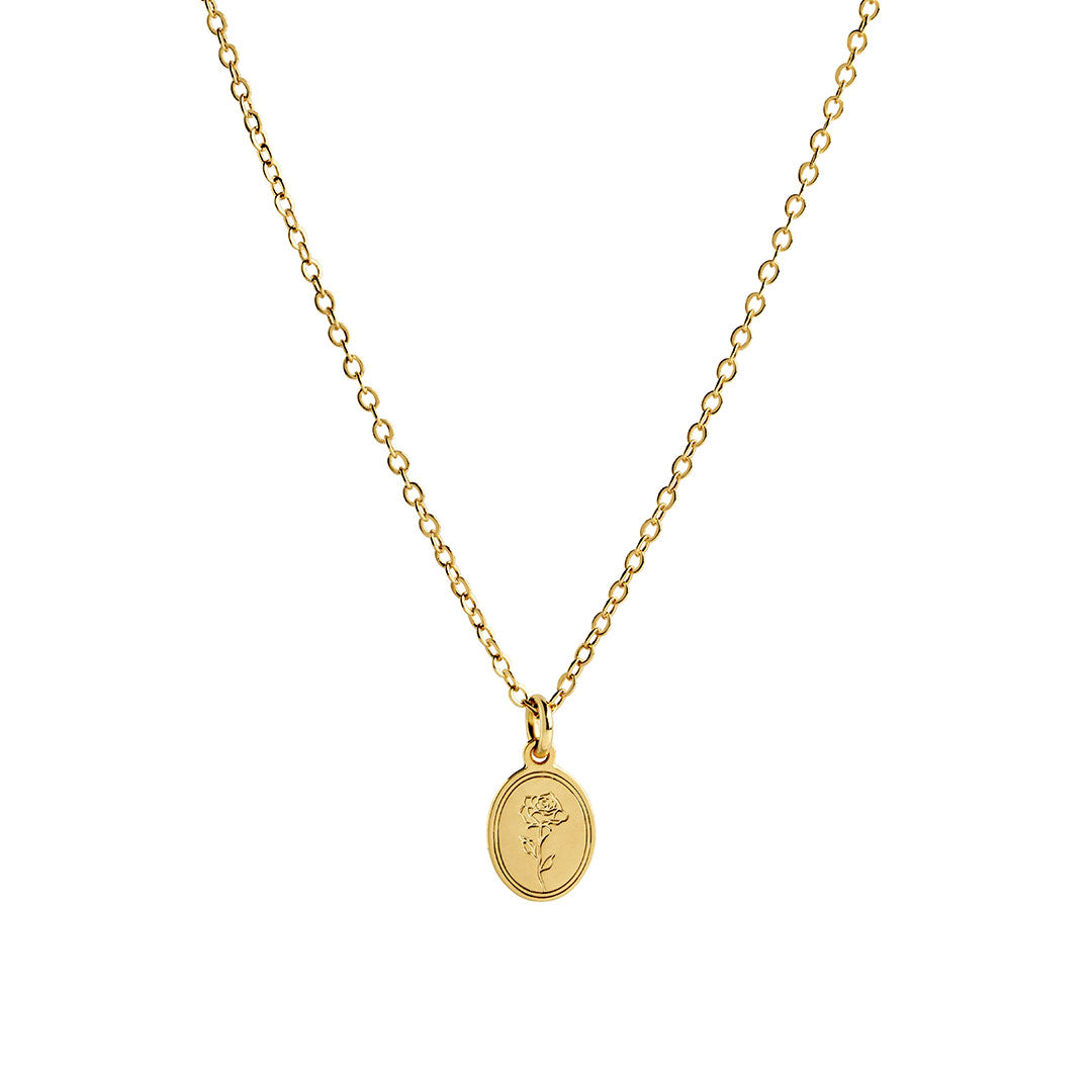 Eva Necklace featuring a refined link-chain design and an oval pendant with a soft rose detail.