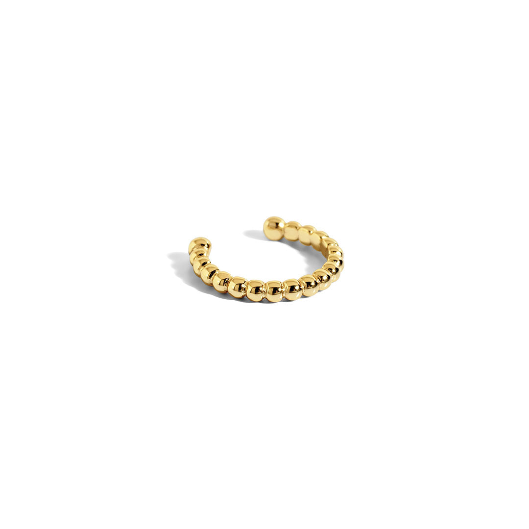 Raven Earring