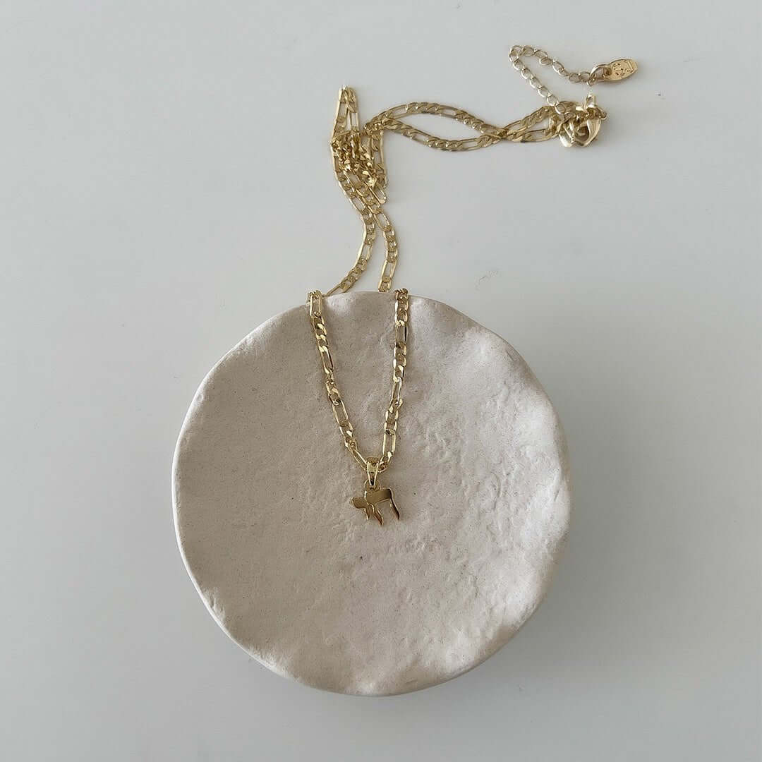 Shani Chai Chai Chain Necklace - Shani Jacobi Jewelry