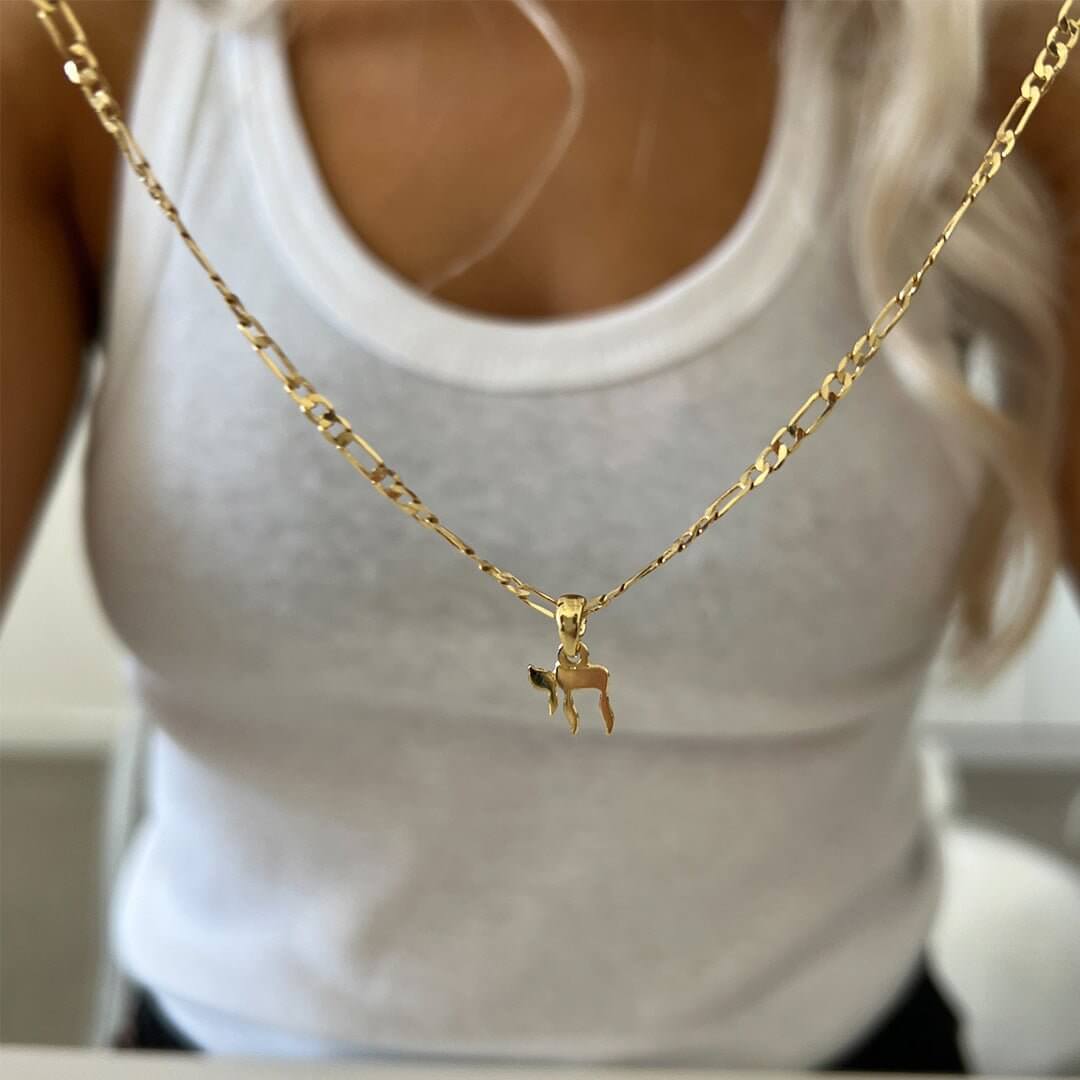 Shani Chai Chai Chain Necklace - Shani Jacobi Jewelry