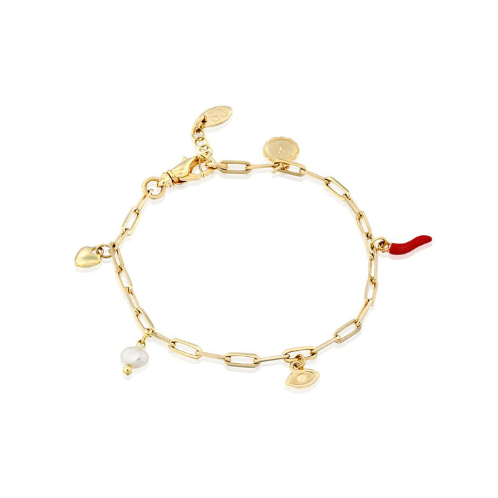 Lucky Charms Bracelet - Shani Jacobi Jewelry