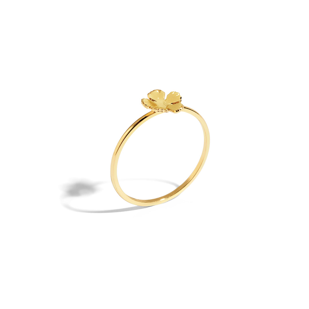 Nuri Ring