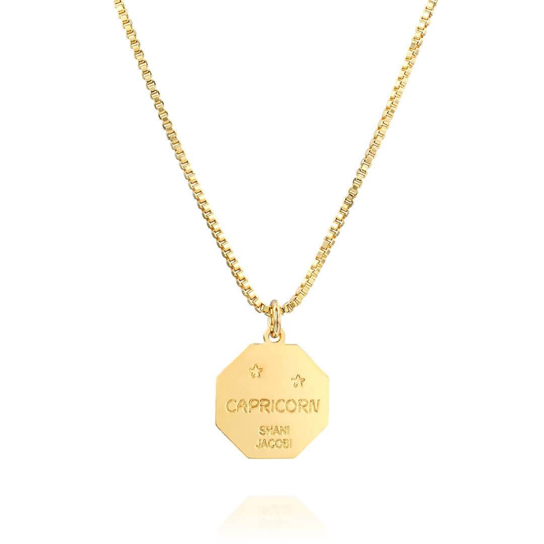 Zodiac Necklace - Capricorn - Shani Jacobi Jewelry